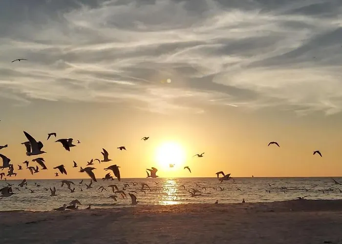 Holiday home Pelican Pointe 2c Clearwater Beach